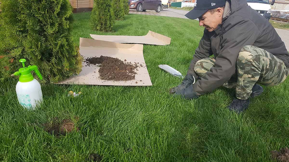Негосударственная санитарная служба, мы вам поможем в борьбе с землеройкой Городская СЭС, оказываем услуги обработки на даче от землеройки ДезКлиник